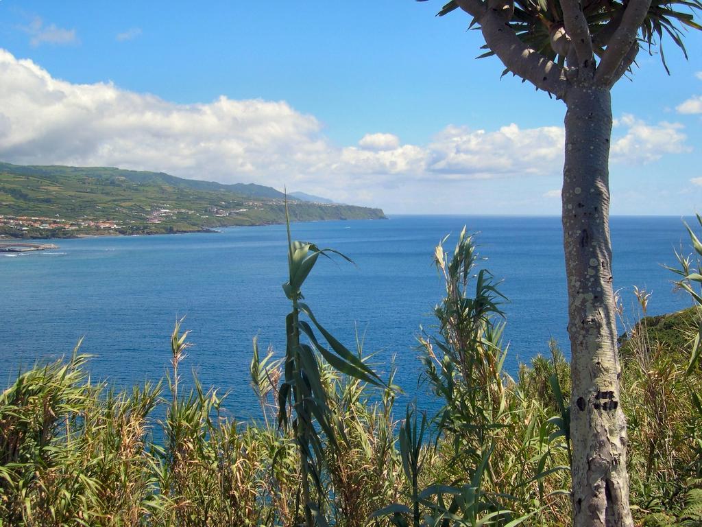 Casa Quinta Do Marques Villa Ponta Delgada Buitenkant foto
