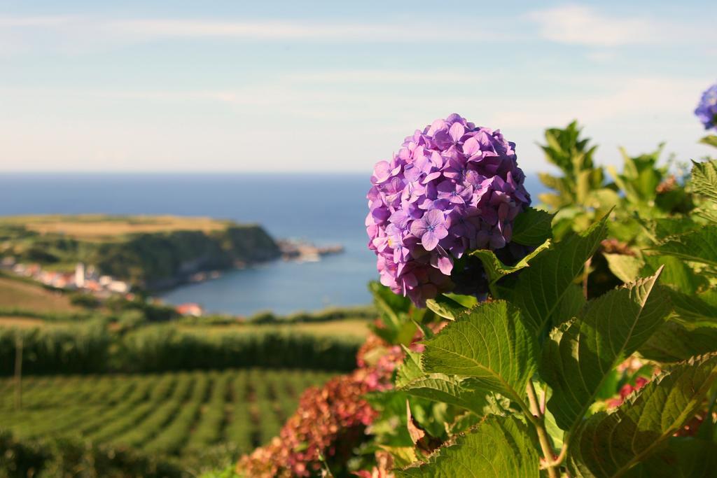 Casa Quinta Do Marques Villa Ponta Delgada Buitenkant foto